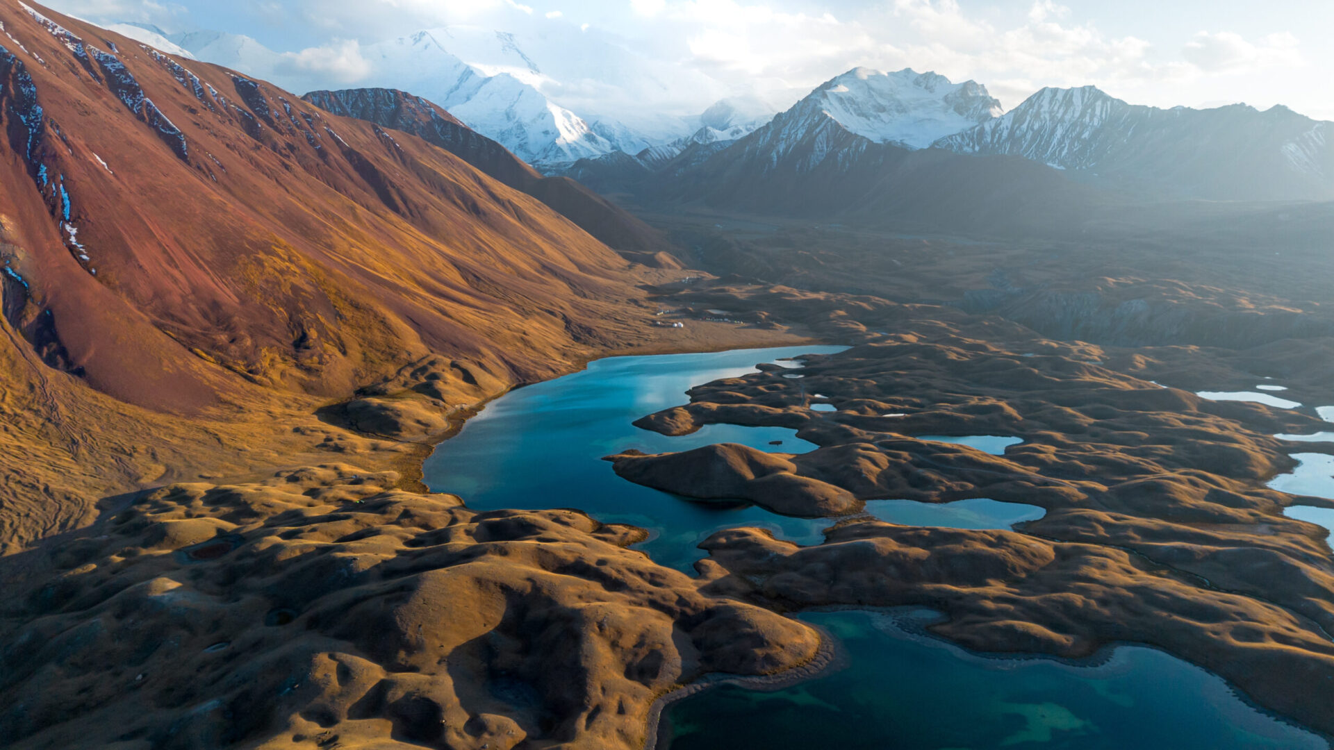 Jährliche Krötenwanderung im Schambachtal
